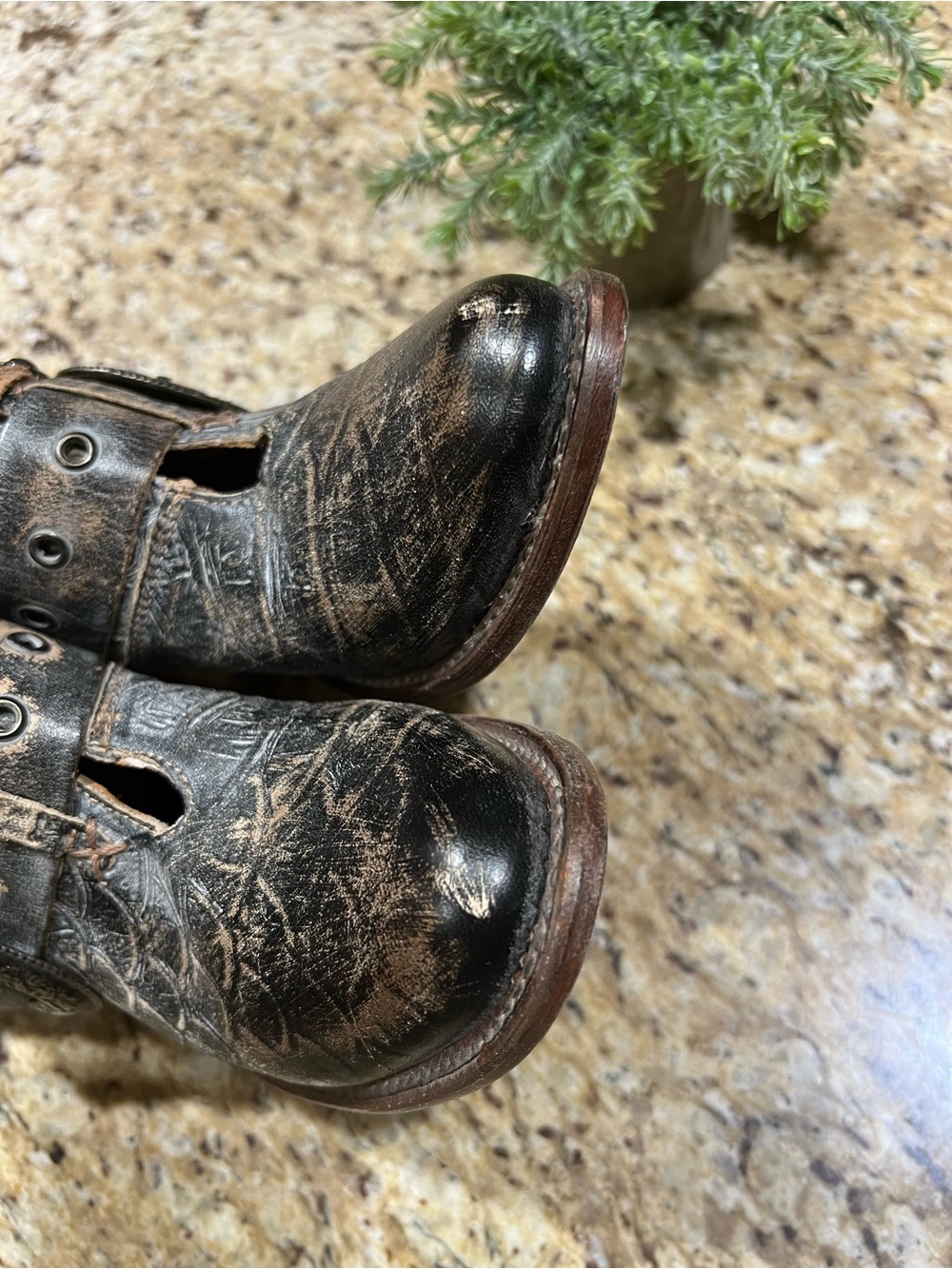 Freebird Saloon Croc Embossed Distressed Black Western Ankle Boots 9 - Picture 6 of 11